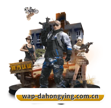 大红鹰dhy APP